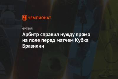 Арбитр справил нужду прямо на поле перед матчем Кубка Бразилии - championat.com - Бразилия