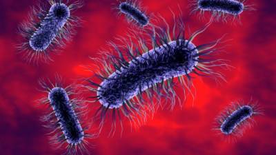 Американские ученые рассказали, как бактерии используют квантовую механику - newinform.com