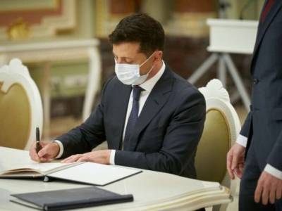 Владимир Зеленский - В Украине ужесточили ответственность за сожжение леса - lenta.ua - Украина