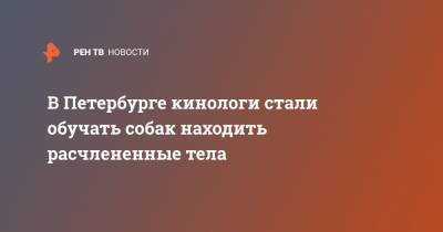 В Петербурге кинологи стали обучать собак находить расчлененные тела - ren.tv - Санкт-Петербург