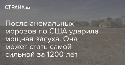 После аномальных морозов по США ударила мощная засуха. Она может стать самой сильной за 1200 лет - strana.ua - Техас - шт. Колорадо - шт. Невада - Юта - шт. Калифорния - шт. Аризона - штат Нью-Мексико - Запад