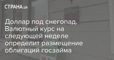 Доллар под снегопад. Валютный курс на следующей неделе определит размещение облигаций госзайма - strana.ua - Украина