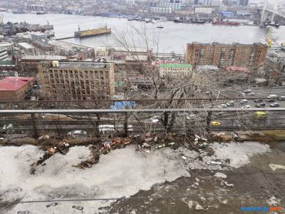 Гастро-хоккейный побег во Владивосток - sakhalin.info - Владивосток