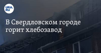 В Свердловском городе горит хлебозавод - ura.news - Екатеринбург - Свердловская обл.