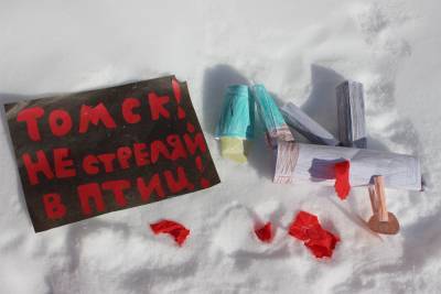 Сергей Жвачкин - «Томск, пробудись! Не стреляй в птиц»: в сети появились флэшмоб и петиция против новых правил охоты в регионе - tv2.today - Томск - Томская обл.