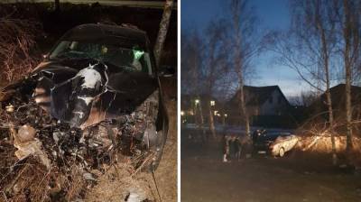 Водитель Volkswagen умер в воронежской больнице после ДТП с деревом - vestivrn.ru - Воронеж