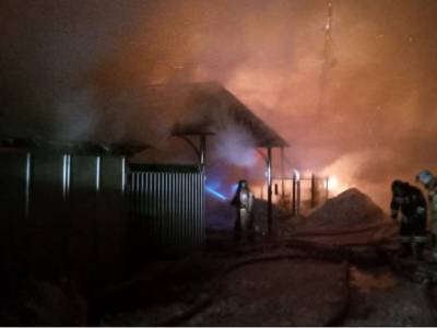 В Челябинской области в крупном пожаре сгорели четыре дома - u24.ru - Челябинская обл.