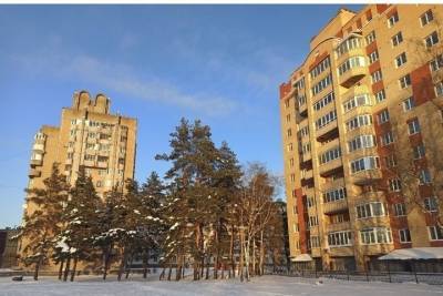 Псковичка просит власти не вырубать многолетние сосны на Завеличье - mk-pskov.ru - Псковская обл. - Псков