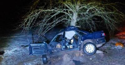 На Ровенщине подростки решили погонять на авто: один погибший, трое в реанимации (ФОТО) - dsnews.ua