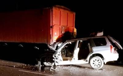 На Одесчине полицейский на авто столкнулся с фурой и погиб - news.bigmir.net - Одесса - Одесская обл.