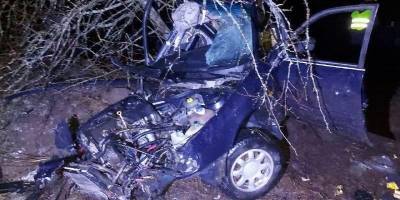 В Ровенской области подростки на Audi А6 попали в аварию – один погиб, трое в реанимации, фото - ТЕЛЕГРАФ - telegraf.com.ua - Ровенская обл.