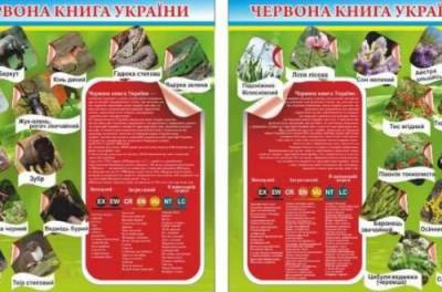 В Красную книгу Украины добавили сурка, лося и сусликов - from-ua.com
