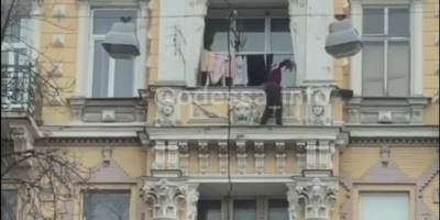 В Одессе кот оказался на карнизе балкона на 4 этаже, мужчина спас его, несмотря на страх сорваться вниз, видео - ТЕЛЕГРАФ - telegraf.com.ua - Одесса