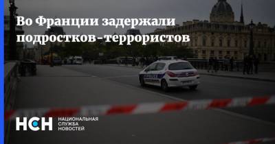 Во Франции - Во Франции задержали подростков-террористов - nsn.fm - Франция