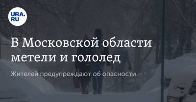Роман Вильфанд - В Московской области метели и гололед. Жителей предупреждают об опасности - ura.news - Москва - Московская обл.