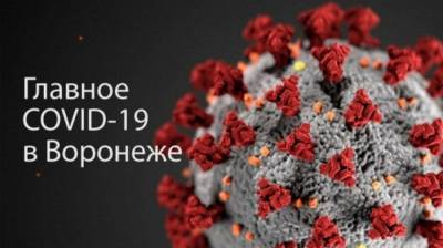 Николай Крючков - Воронеж. Коронавирус. 13 марта - vestivrn.ru - Воронеж - Воронежская обл.