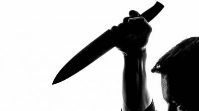Полицейские подстрелили дебошира с ножом в Тихвине - polit.info