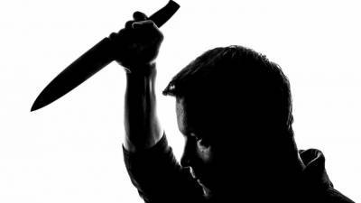 Пьяный житель Тихвина угрожал полицейским ножом - newinform.com