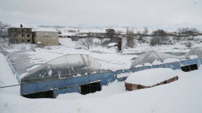 Снегопад нанес ущерб на десятки миллионов рублей тепличникам в Дагестане - riafan.ru - Махачкала - респ. Дагестан