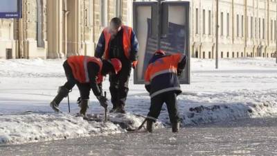 Во всех районах Петербурга нашли нарушения по уборке внутриквартальных территорий - piter.tv - Санкт-Петербург