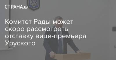 Рамзан Кадыров - Роксолана Пидласа - Олег Уруский - Комитет Рады может скоро рассмотреть отставку вице-премьера Уруского - strana.ua - Украина - респ. Чечня