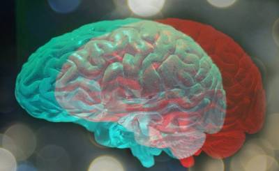 Wired (США): произойдет ли при пересадке человеческой головы пересадка сознания? - inosmi.ru - США