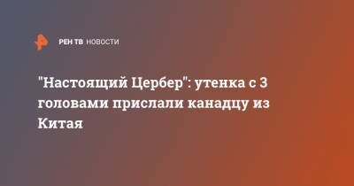 "Настоящий Цербер": утенка с 3 головами прислали канадцу из Китая - ren.tv - Канада - Шотландия