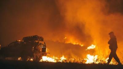 Первый лесной пожар в 2021 году зафиксировали в Хабаровском крае - newinform.com - Хабаровский край