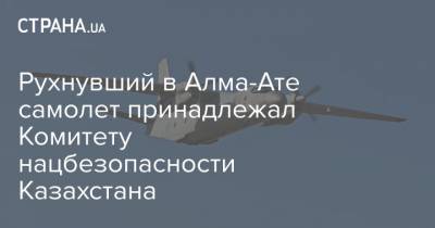 Рухнувший в Алма-Ате самолет принадлежал Комитету нацбезопасности Казахстана - strana.ua - Турция - Алма-Ата