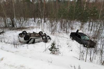 Москвич на «Ауди» оказался в реанимации после ДТП под Опочкой - mk-pskov.ru - Москва - Псковская обл.