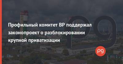 Дмитрий Сенниченко - Профильный комитет ВР поддержал законопроект о разблокировании крупной приватизации - thepage.ua