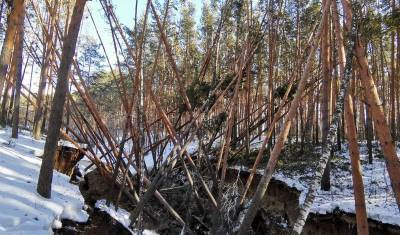 Разлив канализационных стоков в Гилевской роще в Тюмени оказался больше, чем говорили - nashgorod.ru - Тюмень