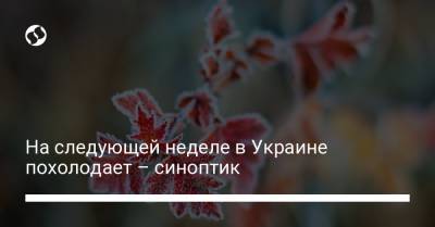 Наталья Диденко - На следующей неделе в Украине похолодает – синоптик - liga.net - Киев - Винницкая обл.