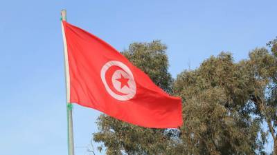 Саид Каис - Оппозиция призвала жителей Туниса выйти на митинг против главы парламента - riafan.ru - Тунис