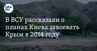 Виктор Назаров - В ВСУ рассказали о планах Киева завоевать Крым в 2014 году - ura.news - Киев - Крым