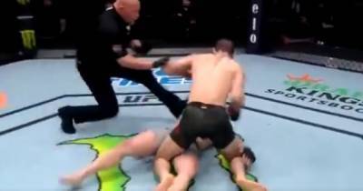 Брутальный нокаут: американский боец UFC вырубил соперника за 16 секунд (видео) - tsn.ua