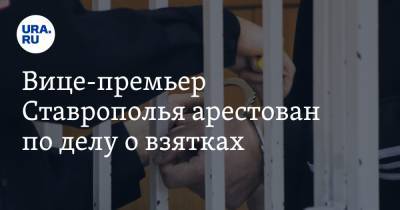 Александр Золотарев - Вице-премьер Ставрополья арестован по делу о взятках - ura.news - Ставрополье - Ставрополь