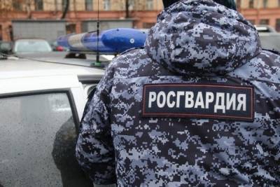 20-летний житель Новосокольников похитил из магазина водку - mk-pskov.ru - Псков