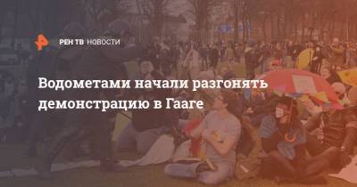 Водометами начали разгонять демонстрацию в Гааге - ren.tv - Голландия - Гаага