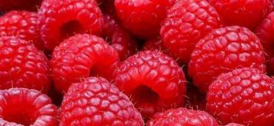 Назван продукт, снижающий риск развития рака - w-n.com.ua
