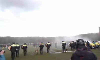 В Гааге полиция применила водометы для разгона акции протеста - capital.ua - Голландия - Гаага