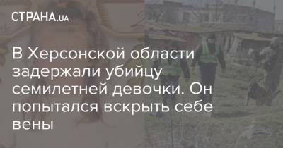 Игорь Клименко - Марья Борисова - В Херсонской области задержали убийцу семилетней девочки. Он попытался вскрыть себе вены - strana.ua - Херсонская обл.