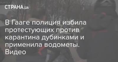 В Гааге полиция избила протестующих против карантина дубинками и применила водометы. Видео - strana.ua - Голландия - Гаага
