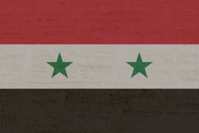 Жозеп Боррель - ЕС сочла режим Асада главным виновником конфликта в Сирии - mk.ru - Сирия