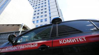 Юлия Иванова - СК возбудил дело после падения девочки из окна в Москве - iz.ru - Москва