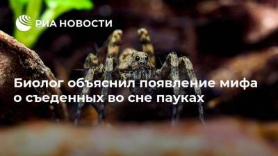 Биолог объяснил появление мифа о съеденных во сне пауках - ria.ru - Москва - Россия