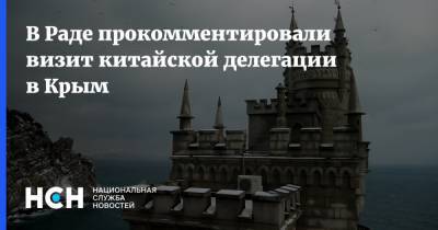 Вадим Рабинович - В Раде прокомментировали визит китайской делегации в Крым - nsn.fm - Китай - Украина - Киев - Крым