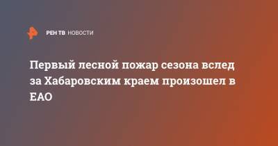 Первый лесной пожар сезона вслед за Хабаровским краем произошел в ЕАО - ren.tv - Хабаровский край - Еврейская обл. - Благовещенск