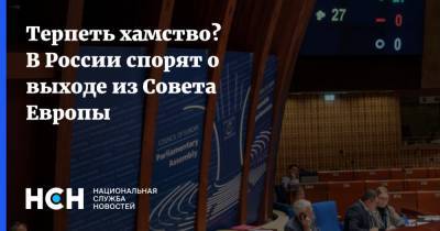 Андрей Климов - Иван Солтановский - Терпеть хамство? В России спорят о выходе из Совета Европы - nsn.fm - Россия