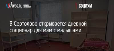 В Сертолово открывается дневной стационар для мам с малышами - ivbg.ru - Ленинградская обл.